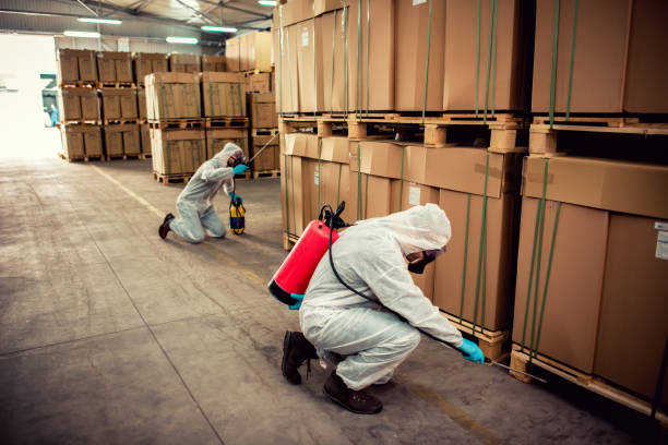 Trusted Salem, WV Pest Control Experts
