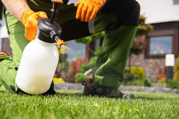 Best Termite Control Services  in Salem, WV