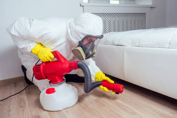 Best Exterminator Services  in Salem, WV