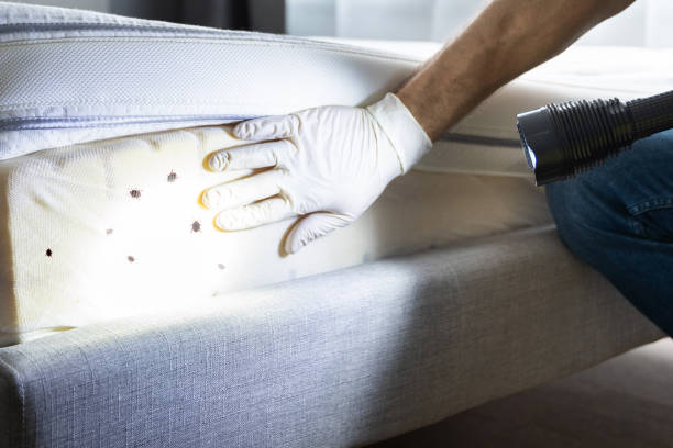 Best Pest Control for Restaurants  in Salem, WV